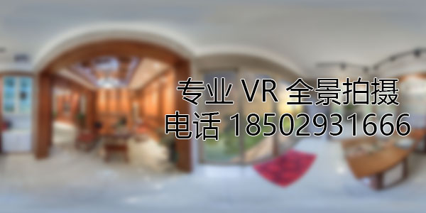 泰来VR全景技术在未来可能的发展方向和应用领域?